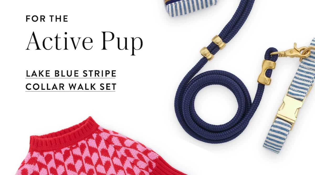 Shop Lake Blue Stripe Collar Walk Set