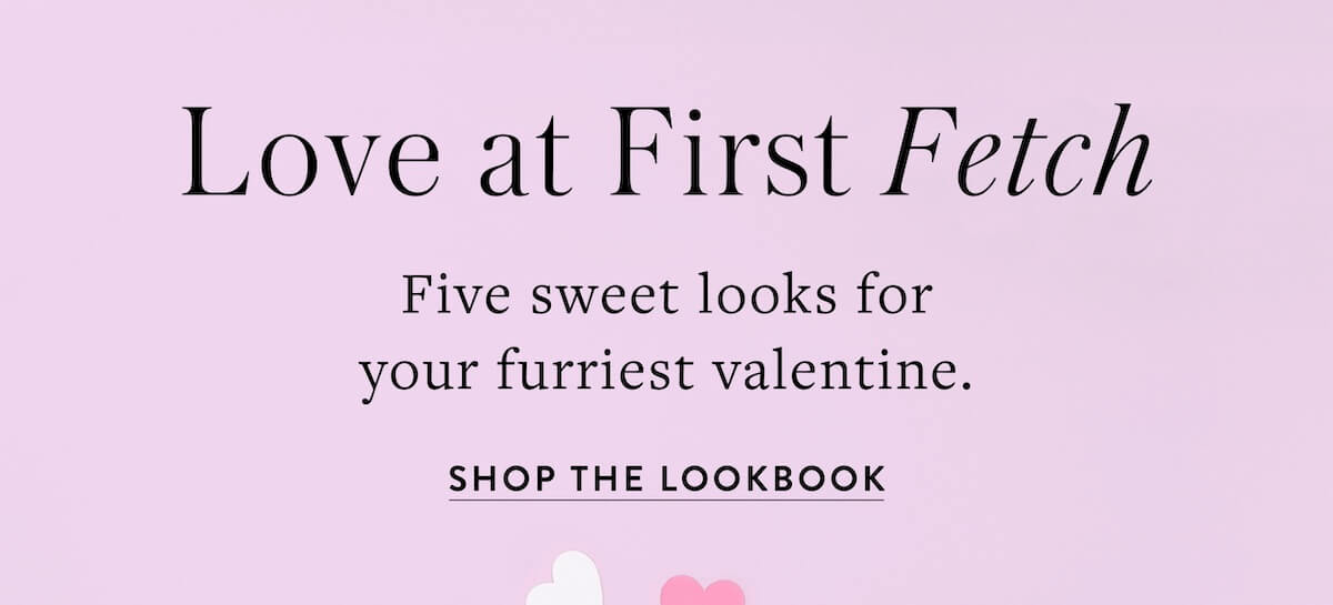 Shop the Lookbook