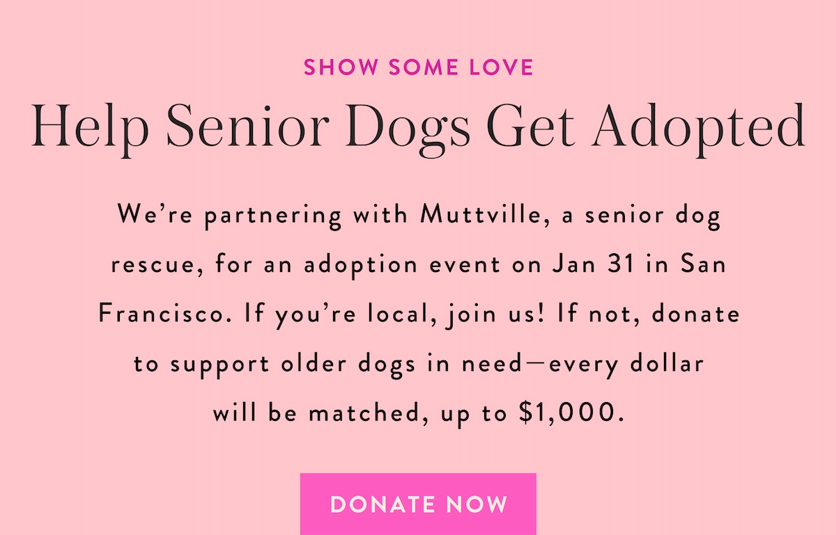 Donate to Muttville