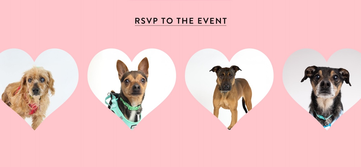 RSVP to the event