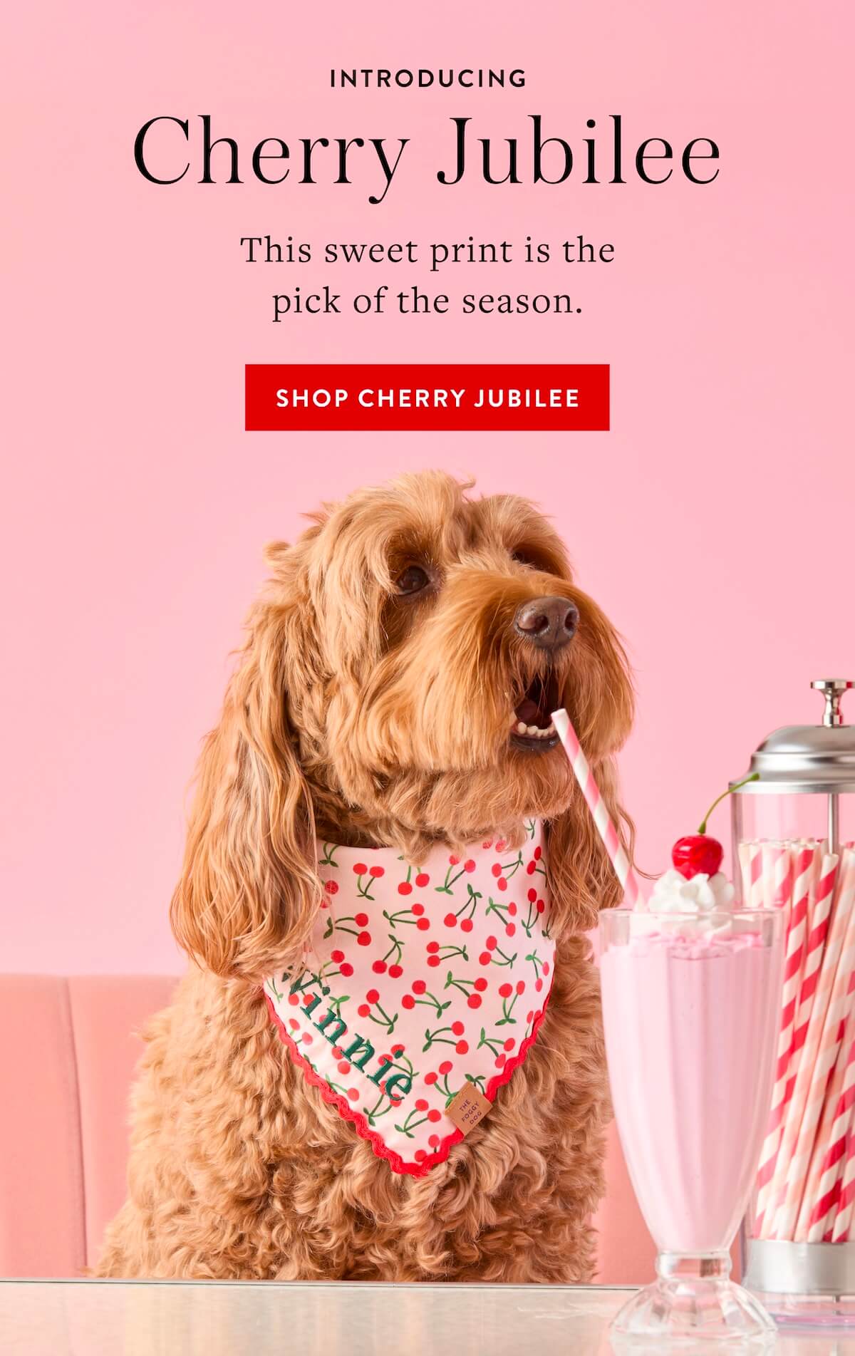 Shop Cherry Jubilee