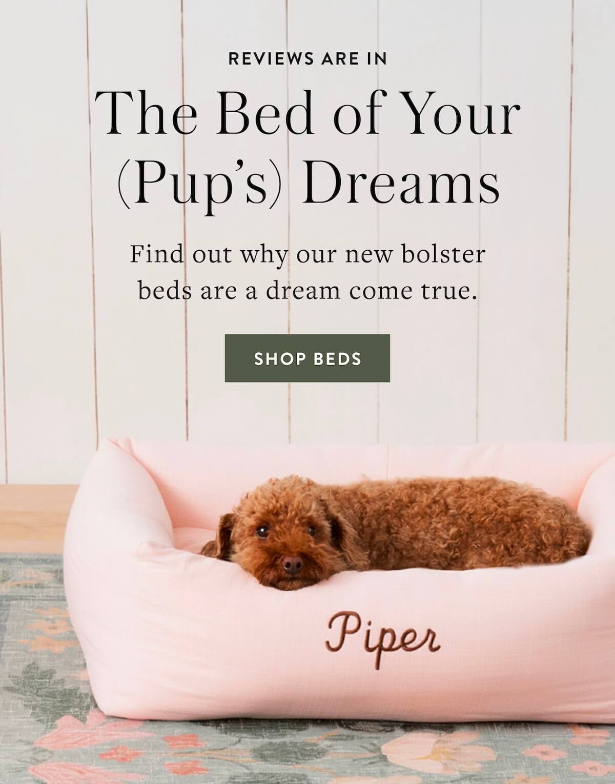 Shop Beds