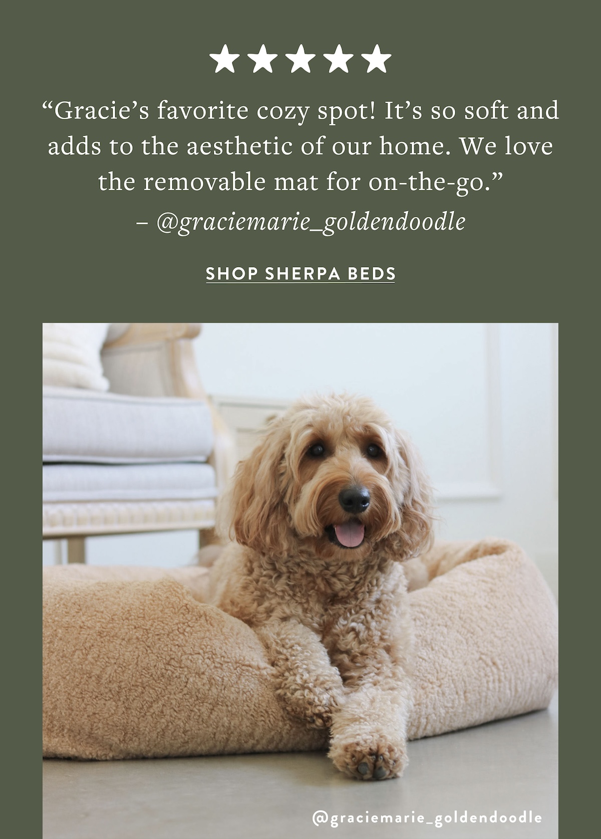 Shop Sherpa Beds