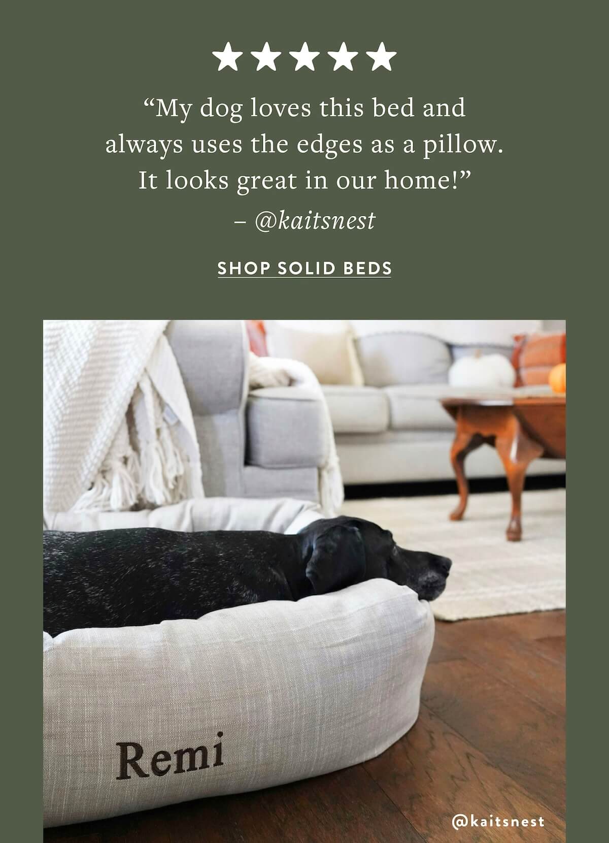 Shop Solid Beds