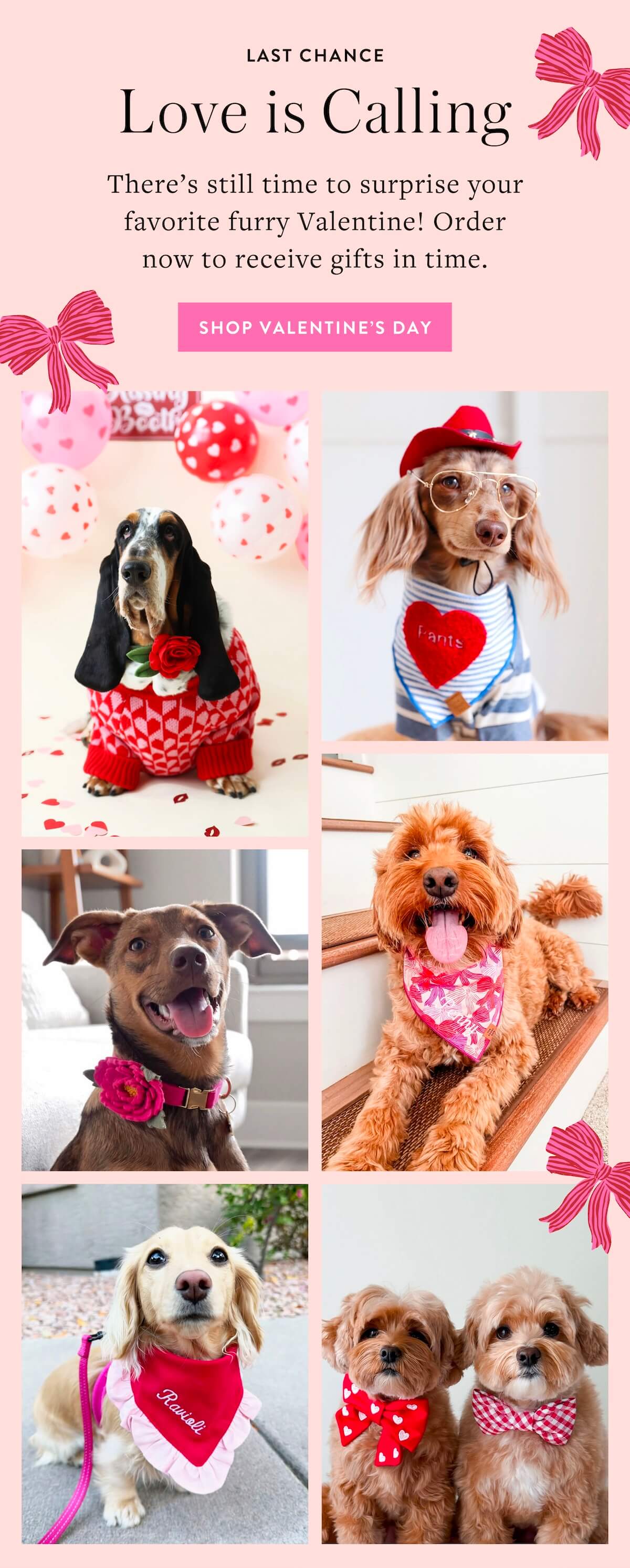 Shop Vday
