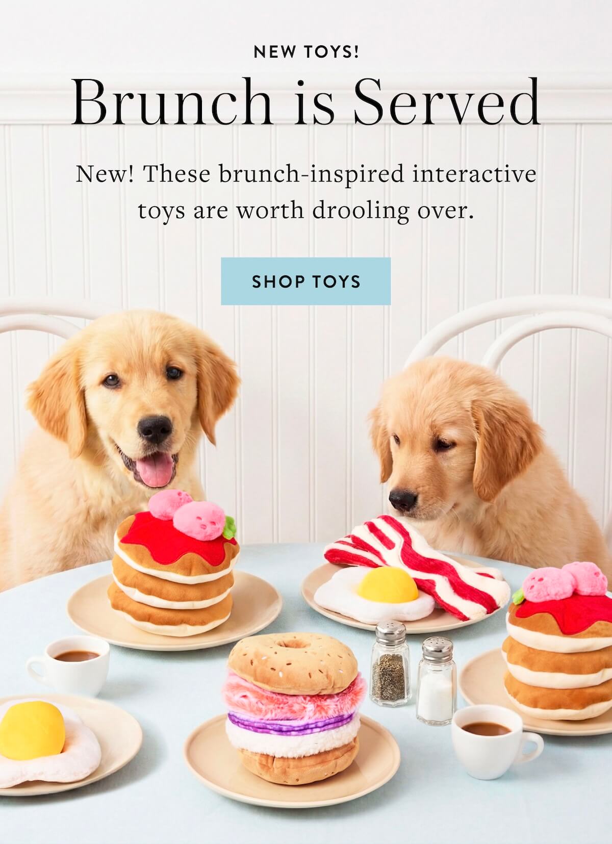 Shop Toys
