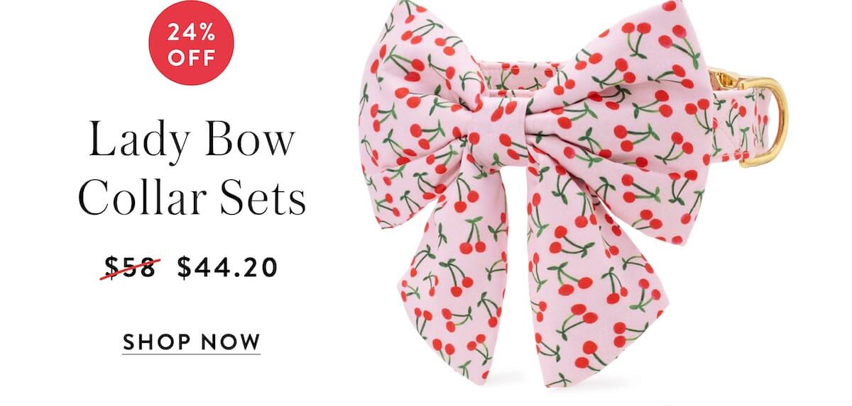 Shop Lady Bow Collar sets