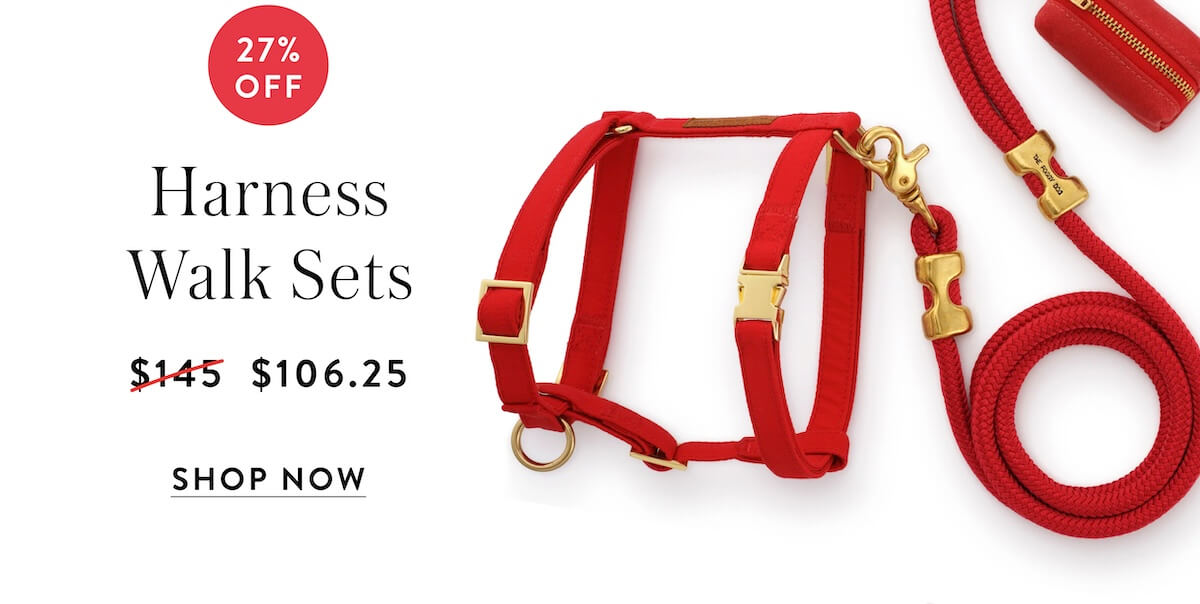 Shop Harness walk sets