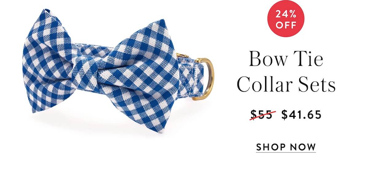 Shop Bow Tie Collar sets