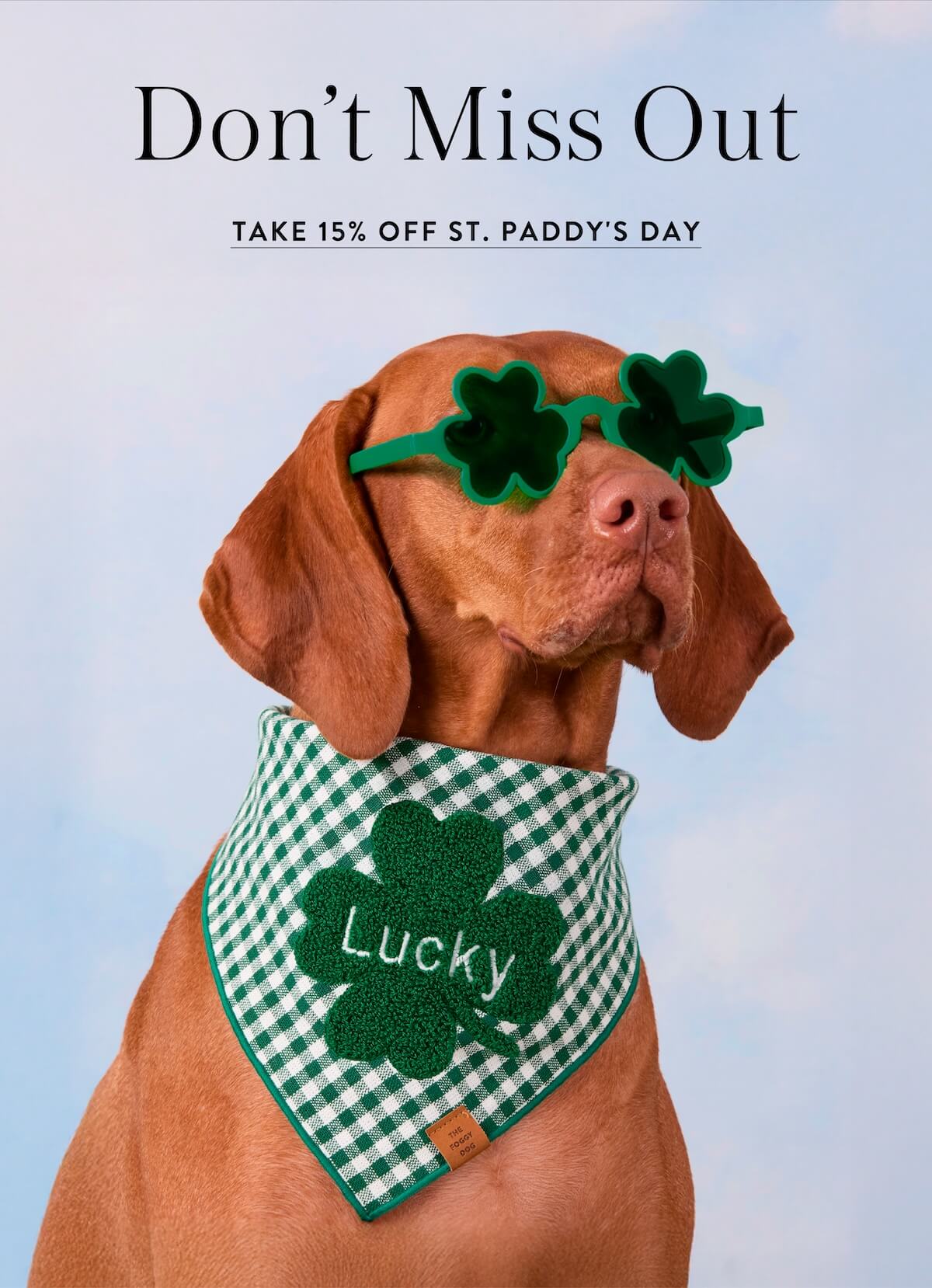 Shop St. Paddy's Day