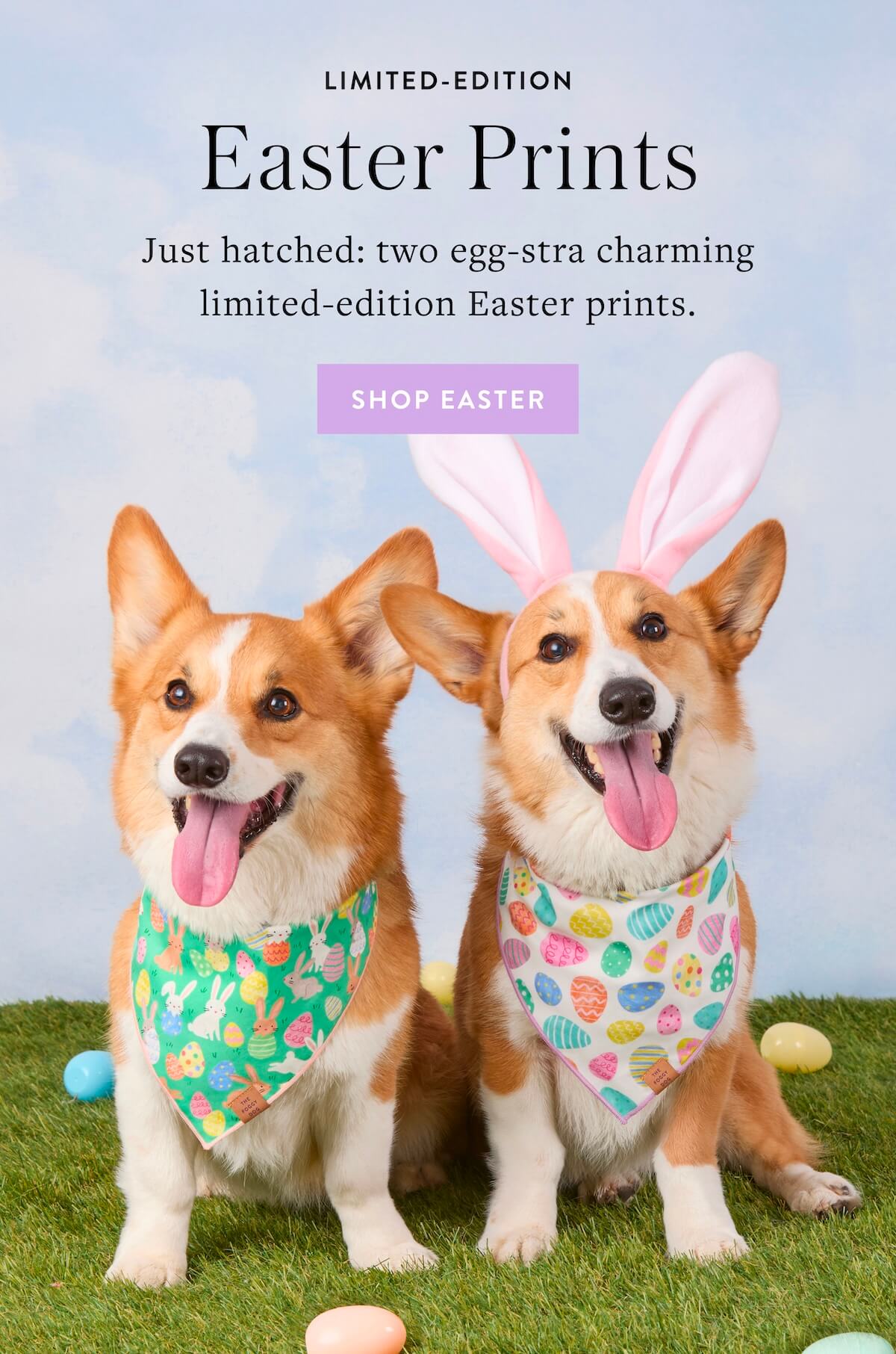 Shop Easter
