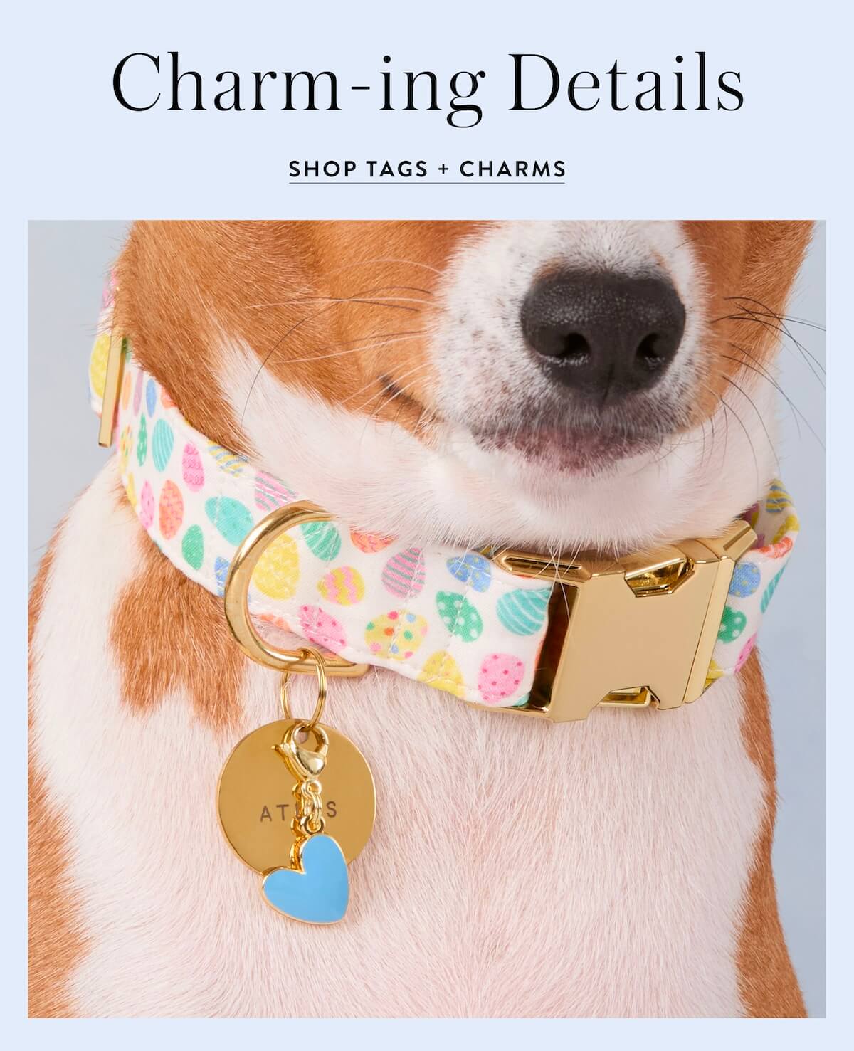 Shop Tags & Charms