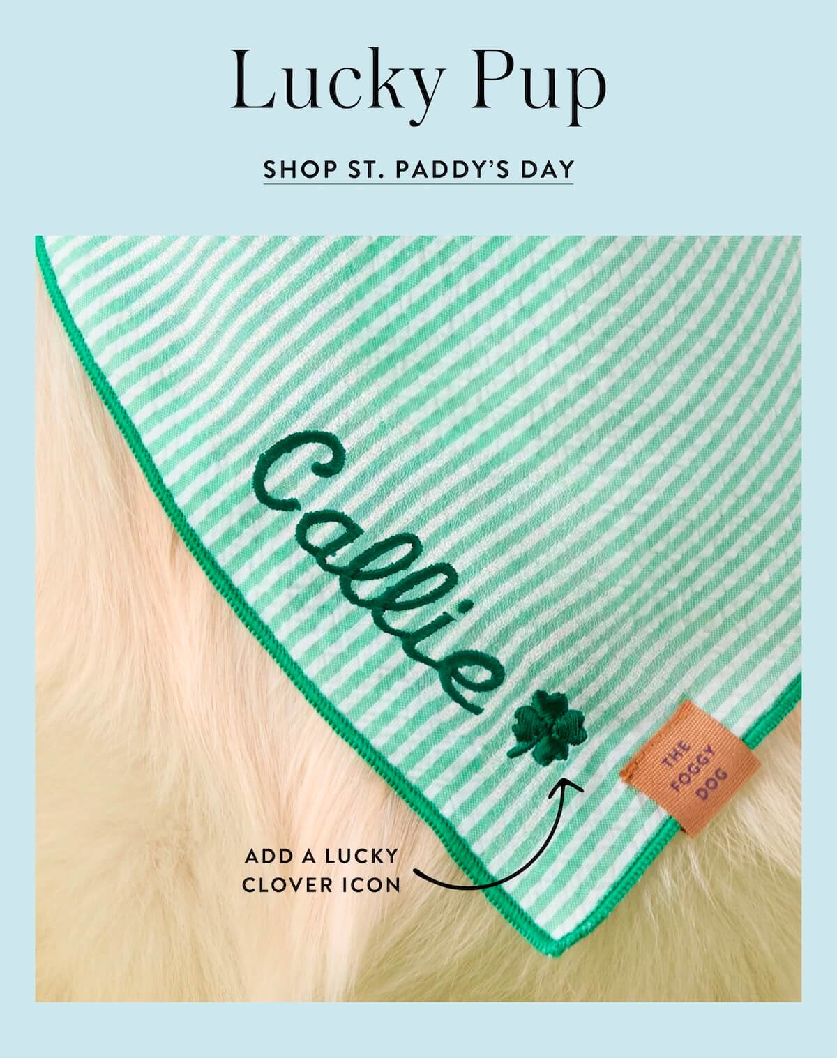 Shop St. Paddy's