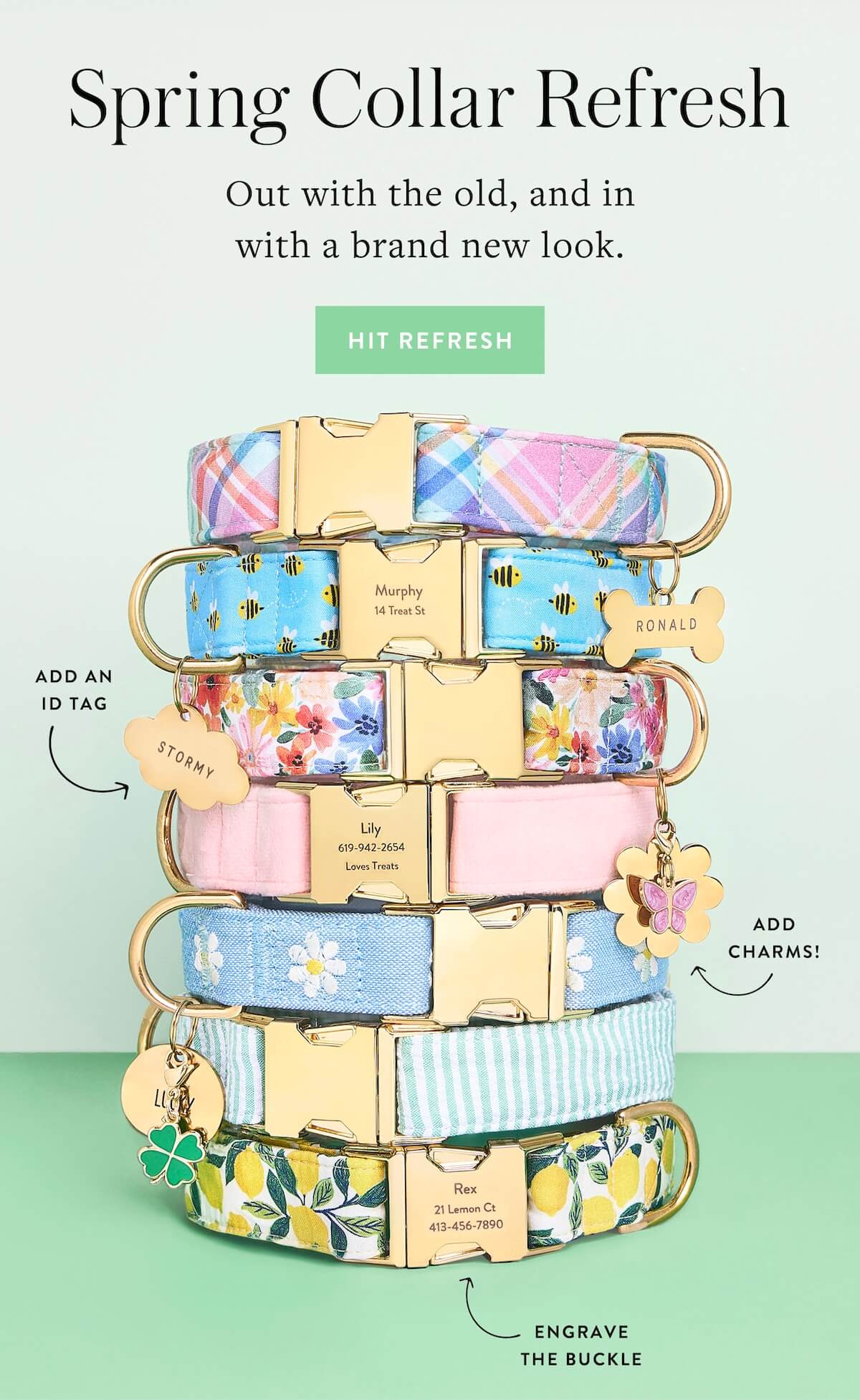 Refresh your Spring Collar