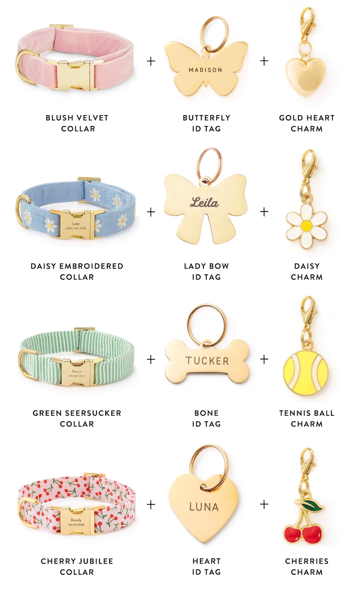 Refresh your Spring Collar