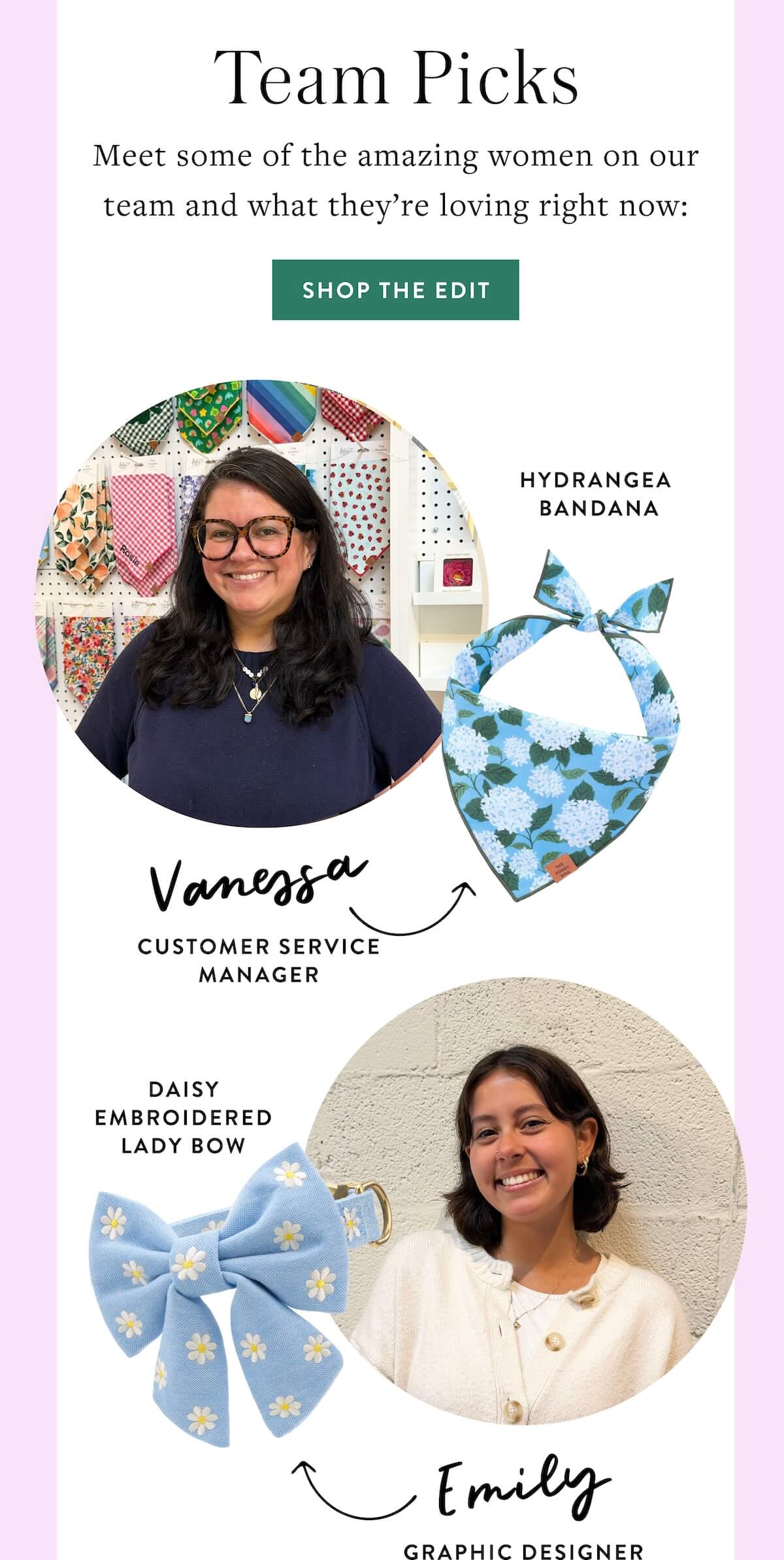Shop Team Picks
