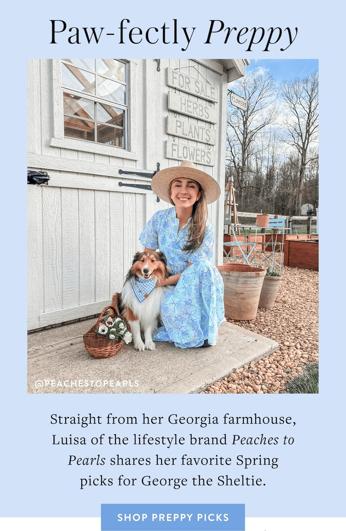 Shop Spring