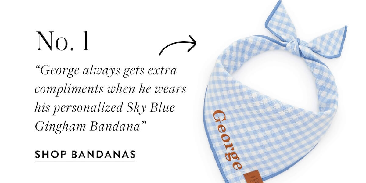 Shop Bandanas