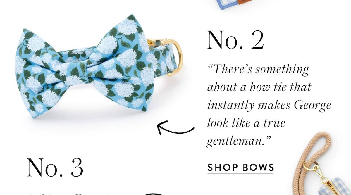 Shop Bows