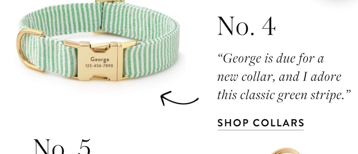 Shop Collars