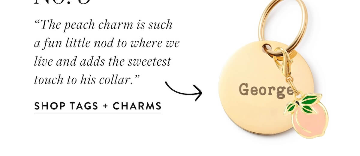 Shop Tags + Charms