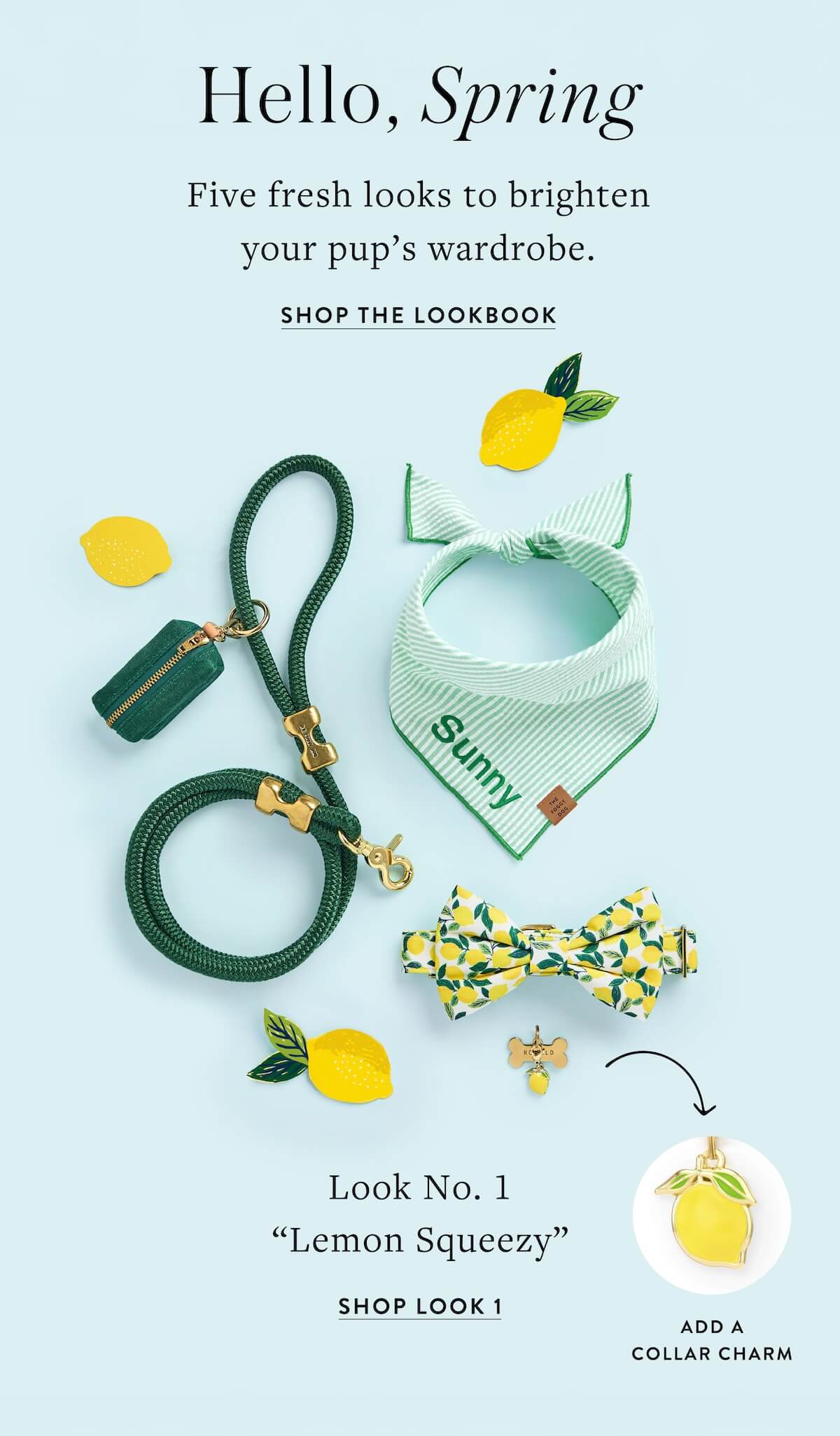 Shop the Spring Lookbook