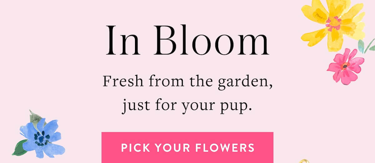 Shop Florals