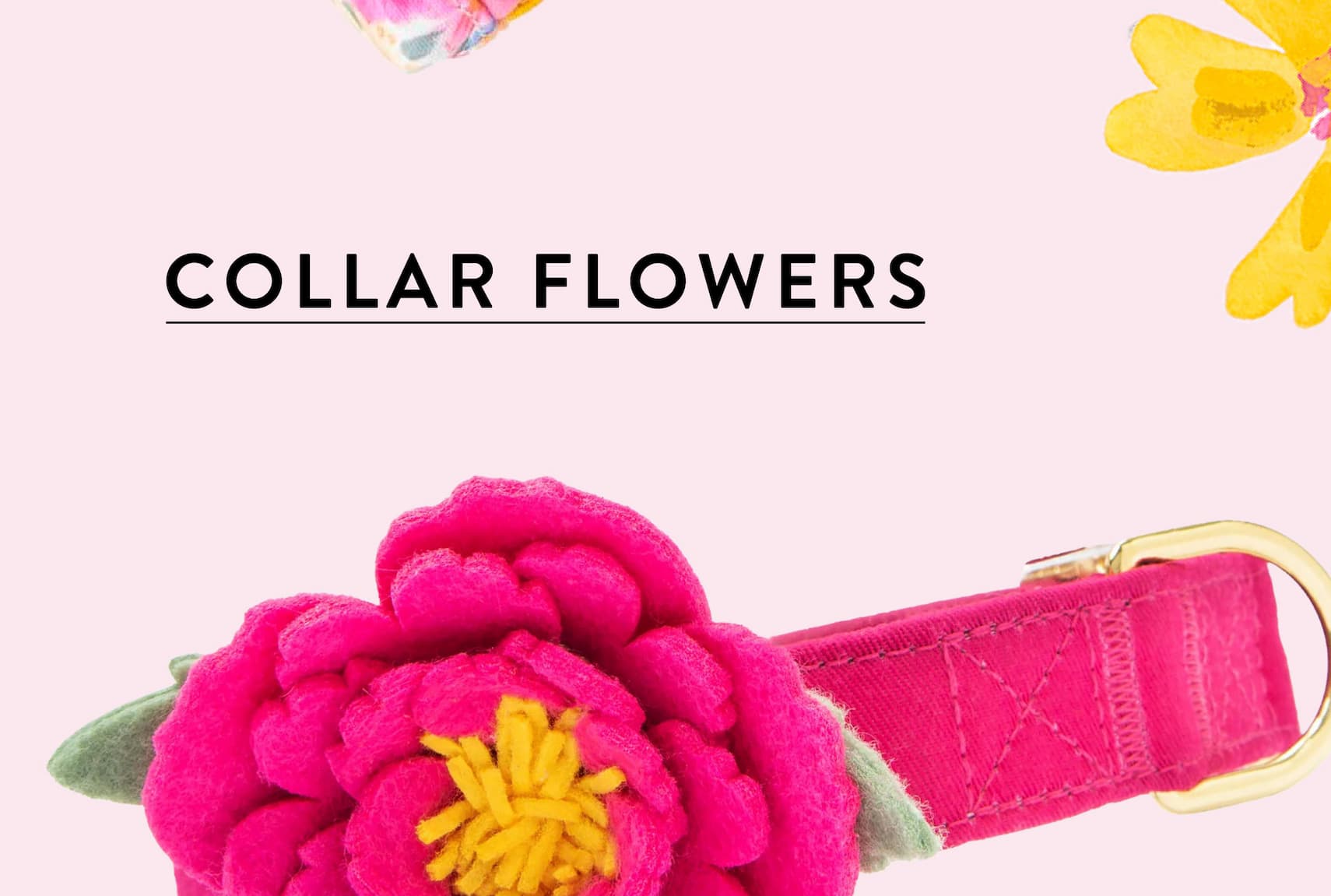 Collar flowers