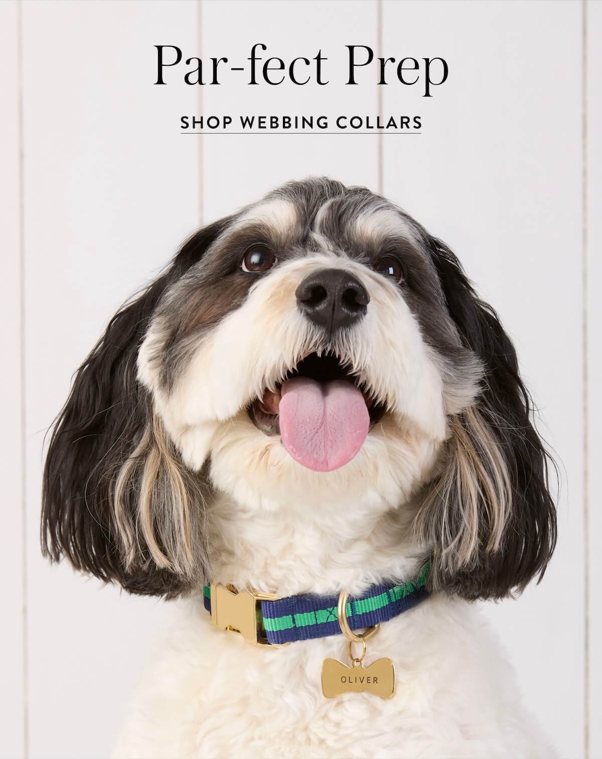 Shop Webbing Collars