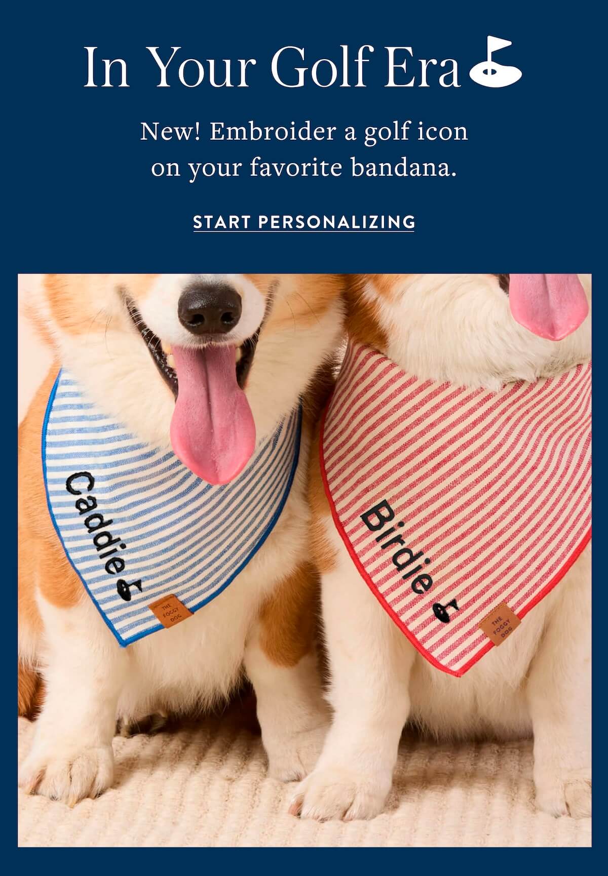 Shop Bandanas