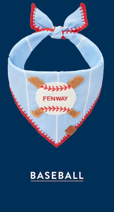 shop baseball