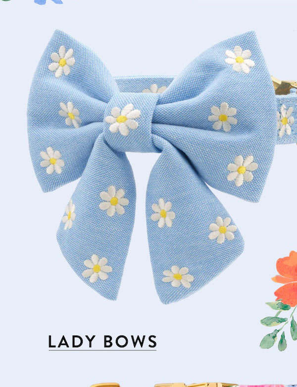 Lady Bows