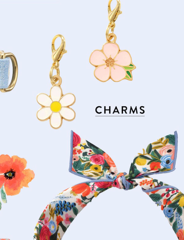 Collar Charms
