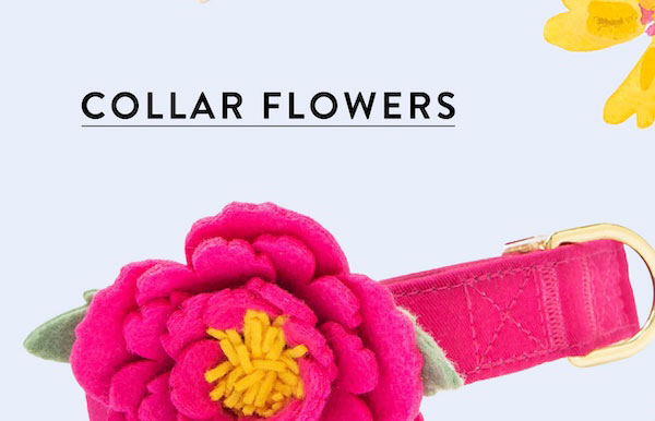 Collar flowers