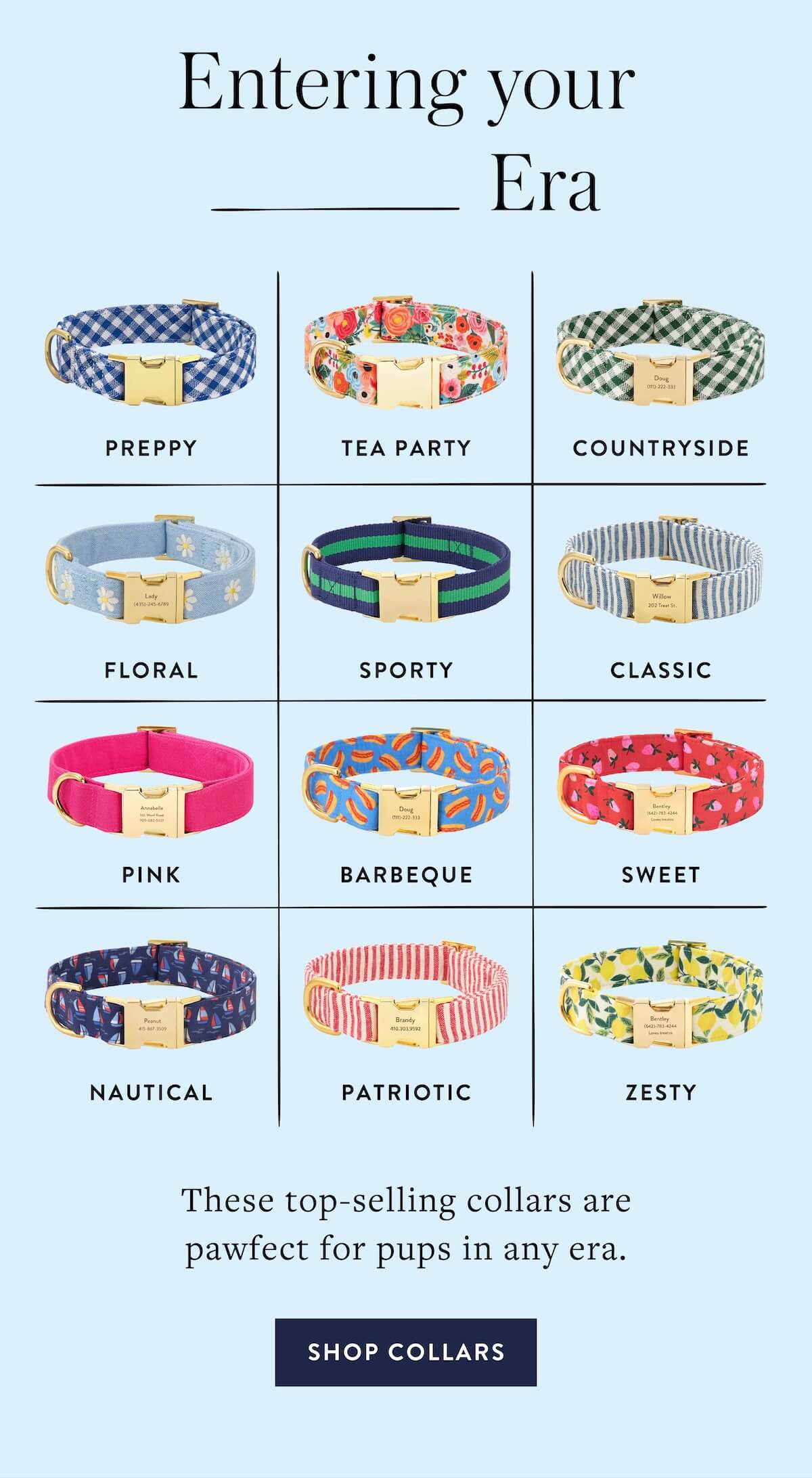 Shop Collars