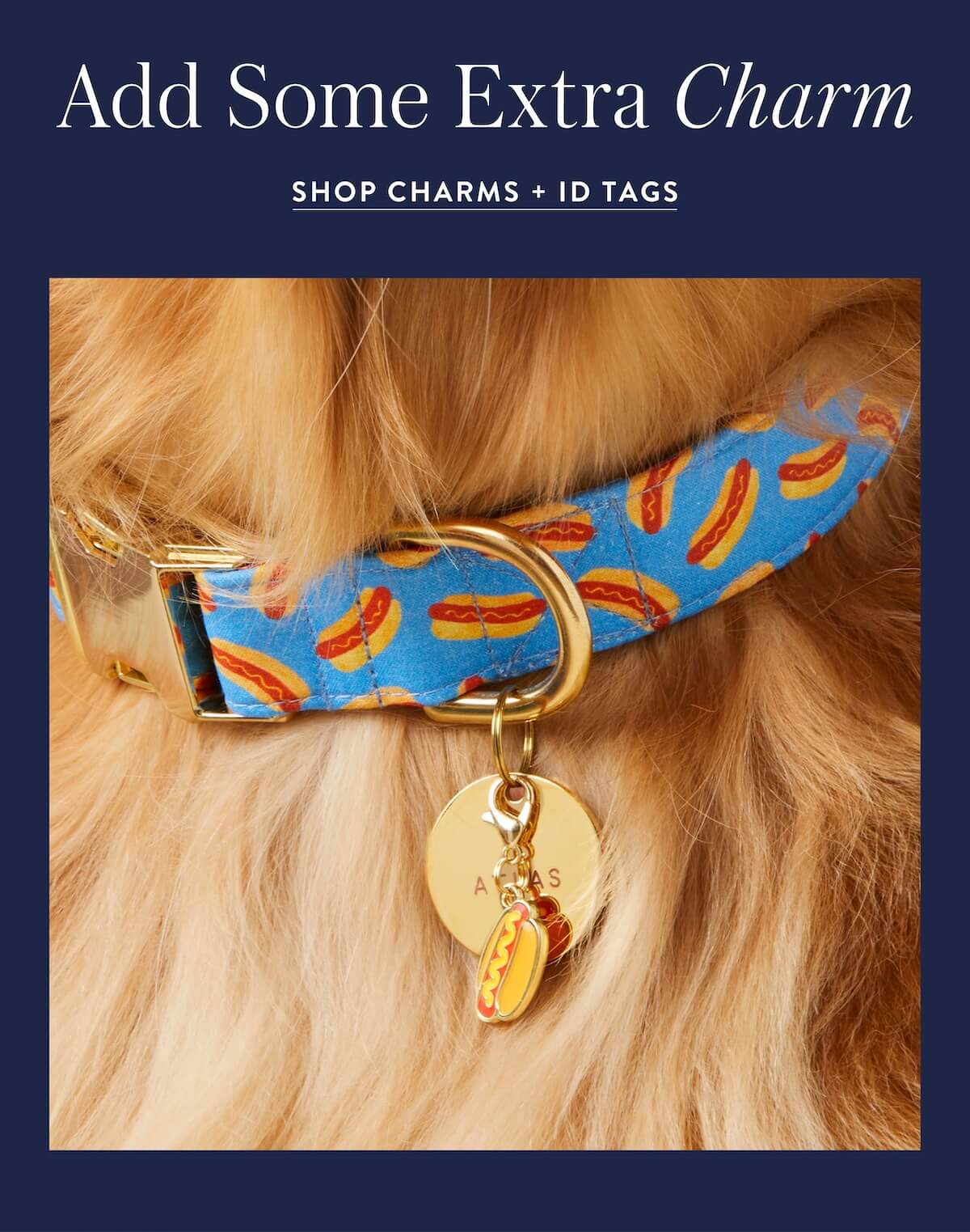 Shop Charms & ID Tags