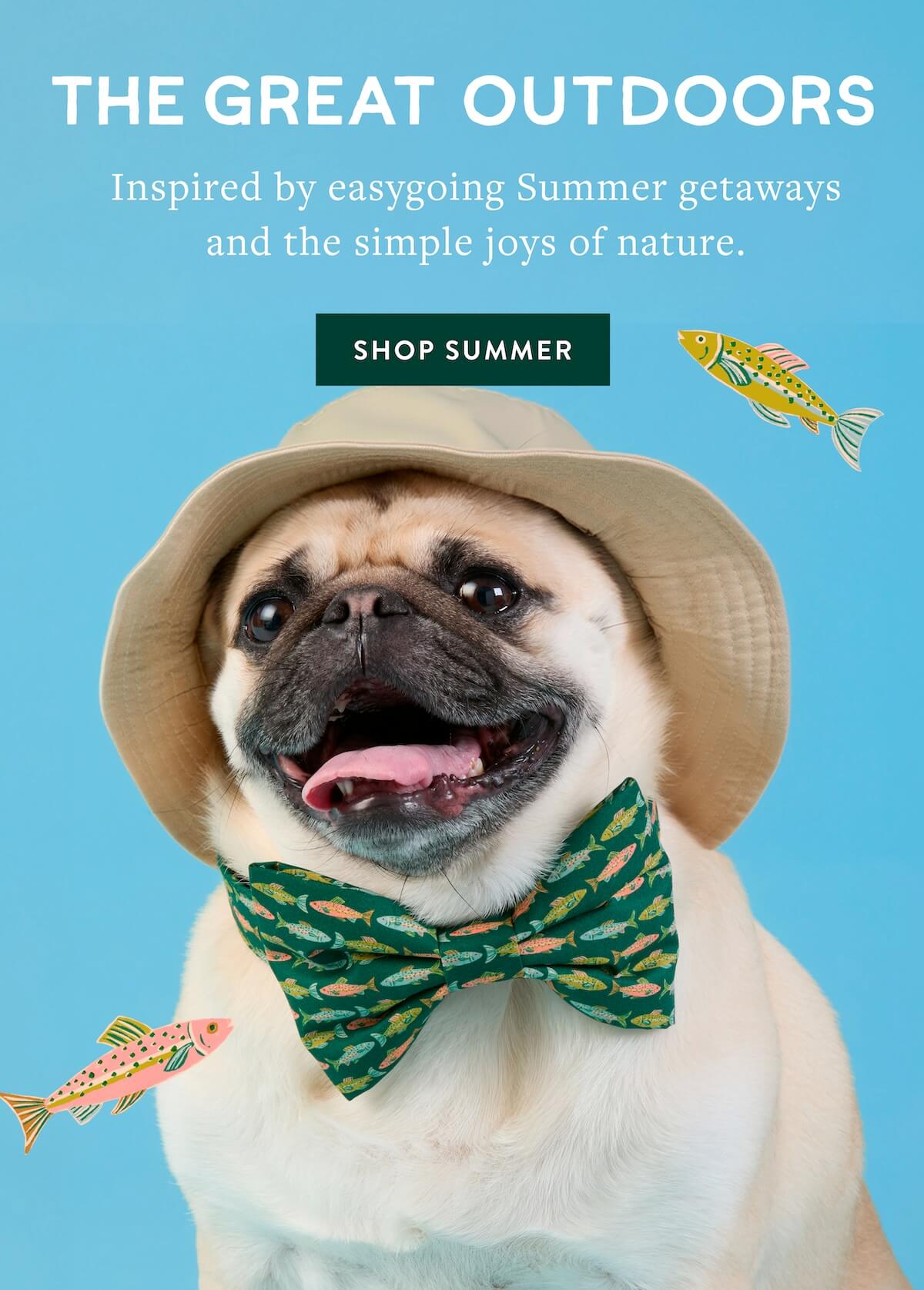Shop Summer