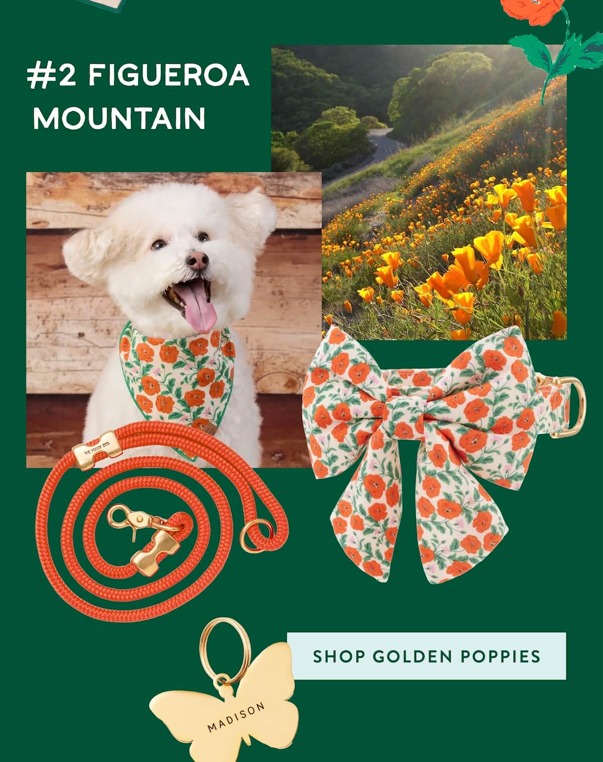 Shop Golden Poppies