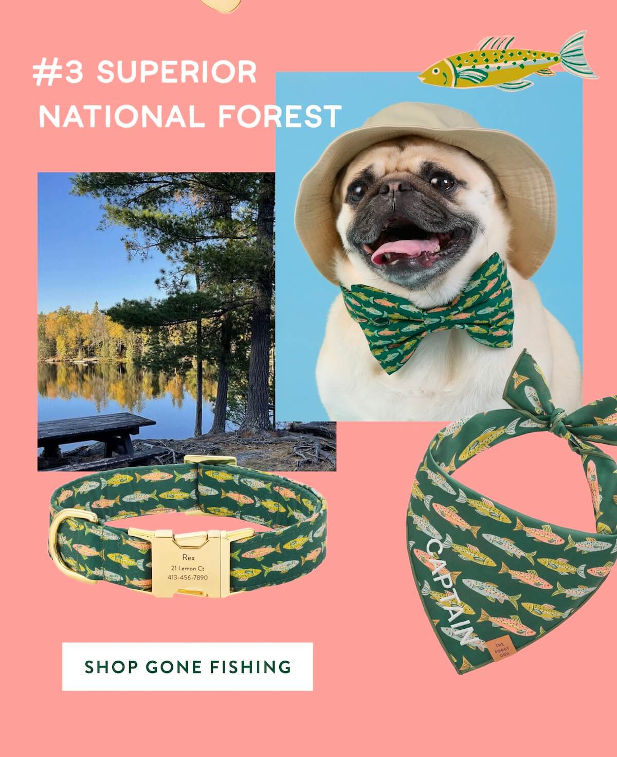 Shop Gone Fishing