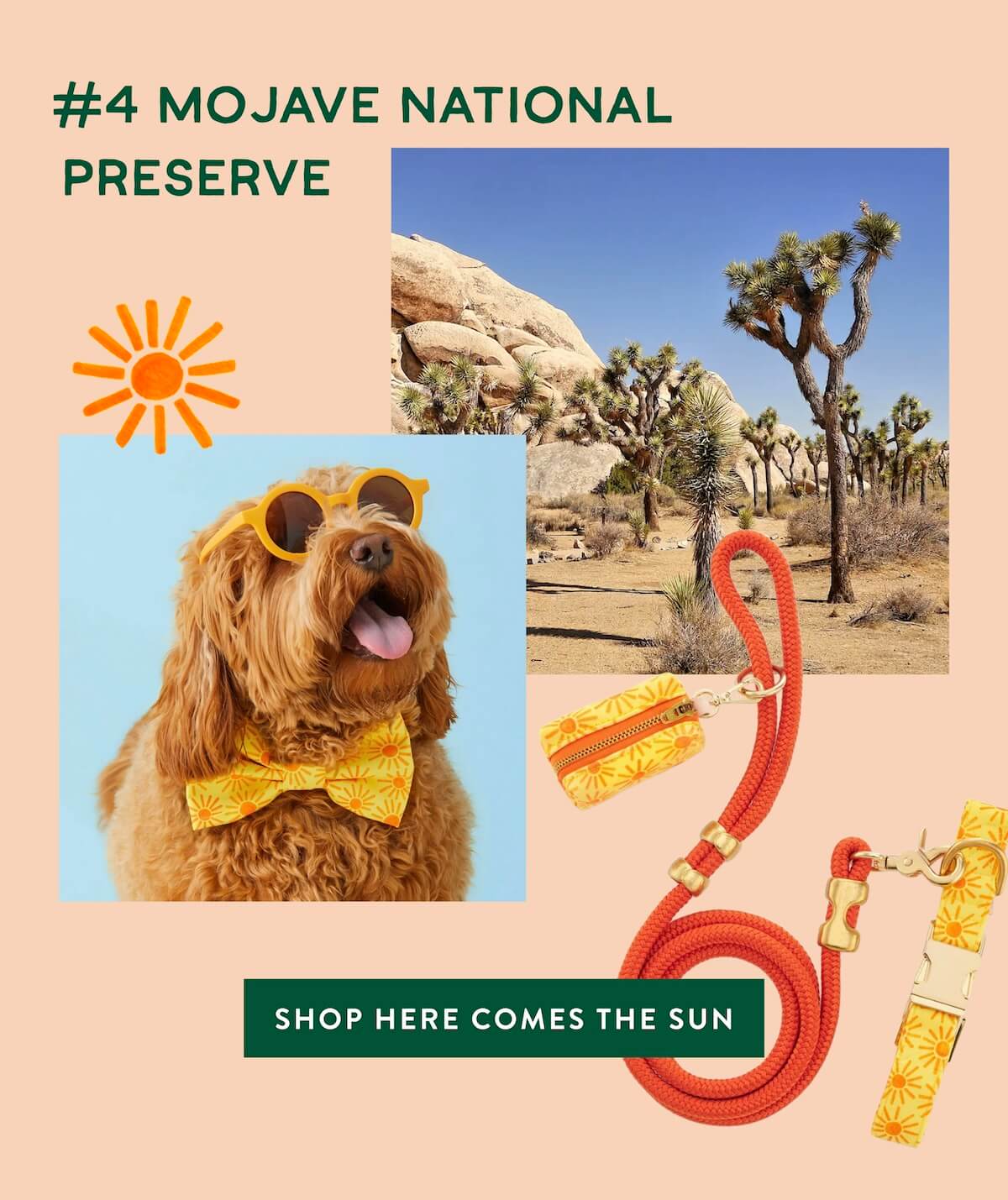 Shop Here Comes the Sun