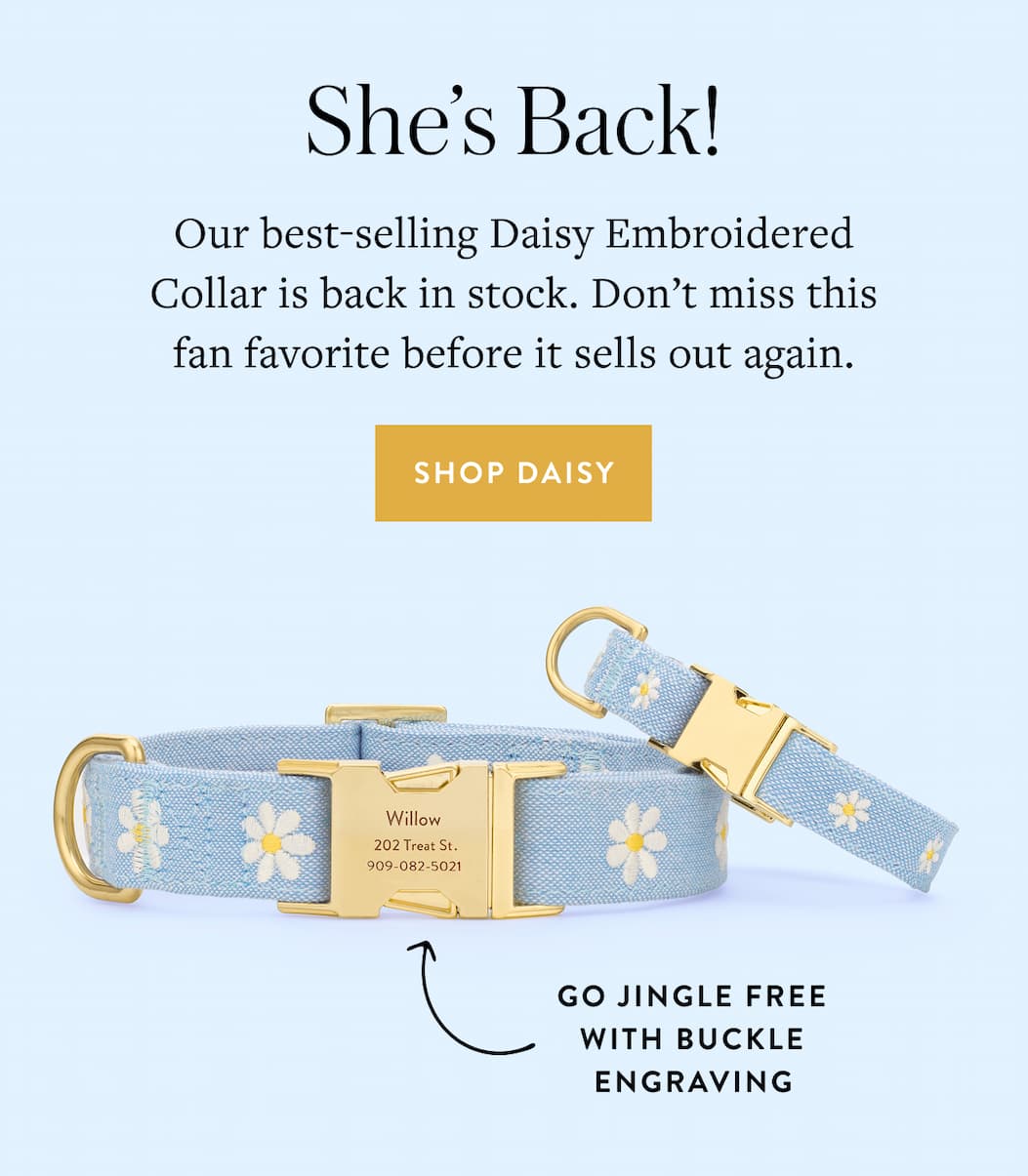 Shop Daisy