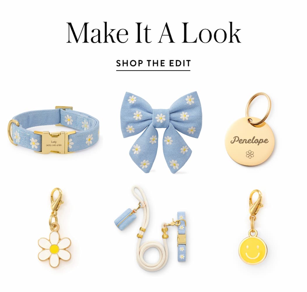 Shop Daisy