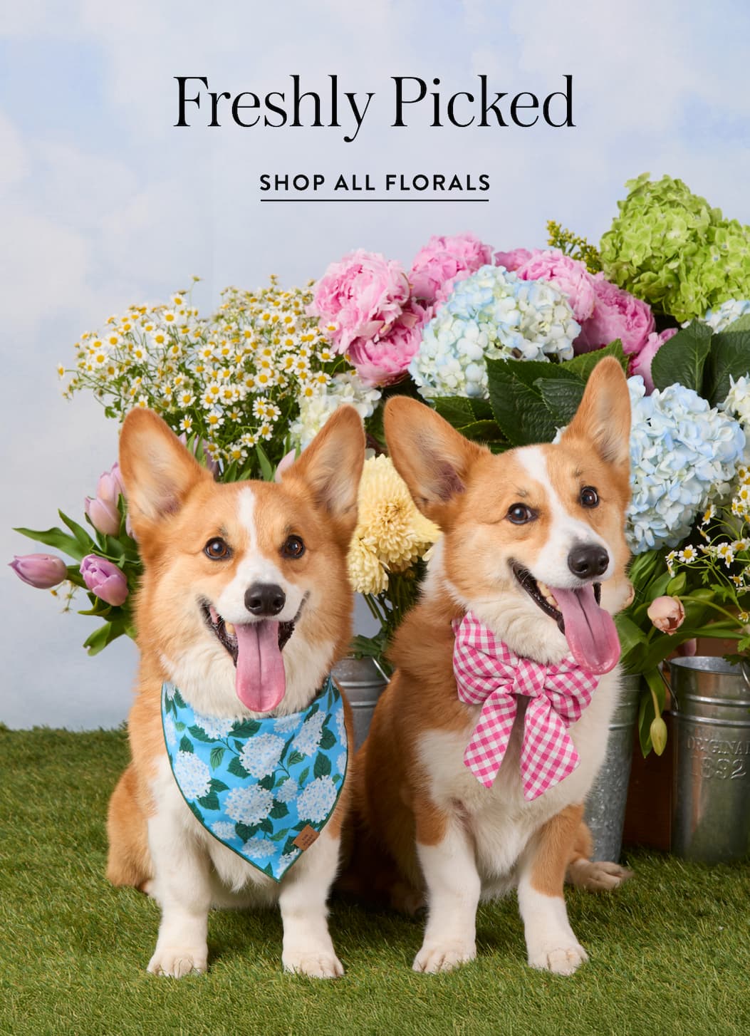 Shop All Florals
