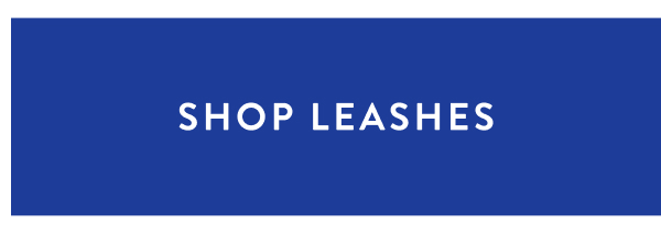 leashes