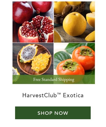HarvestClub™ Exotica