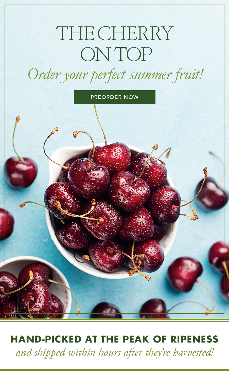Preorder Cherries today!