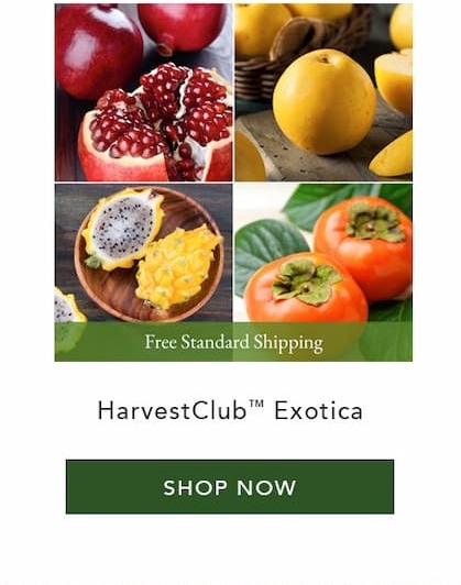HarvestClub™ Exotica