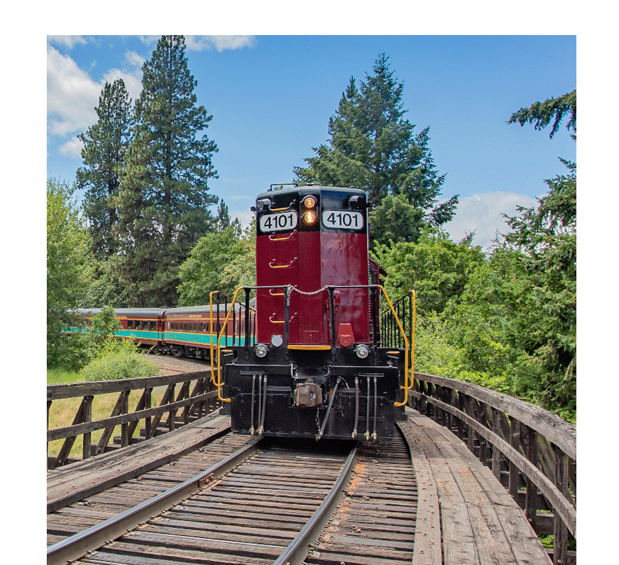 Treat Dad to an Unforgettable Ride!
