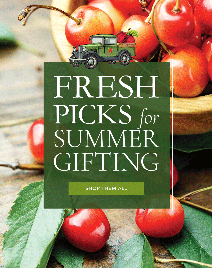 Summer Gifting
