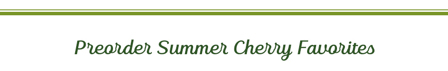 Preorder Summer Cherry Favorites